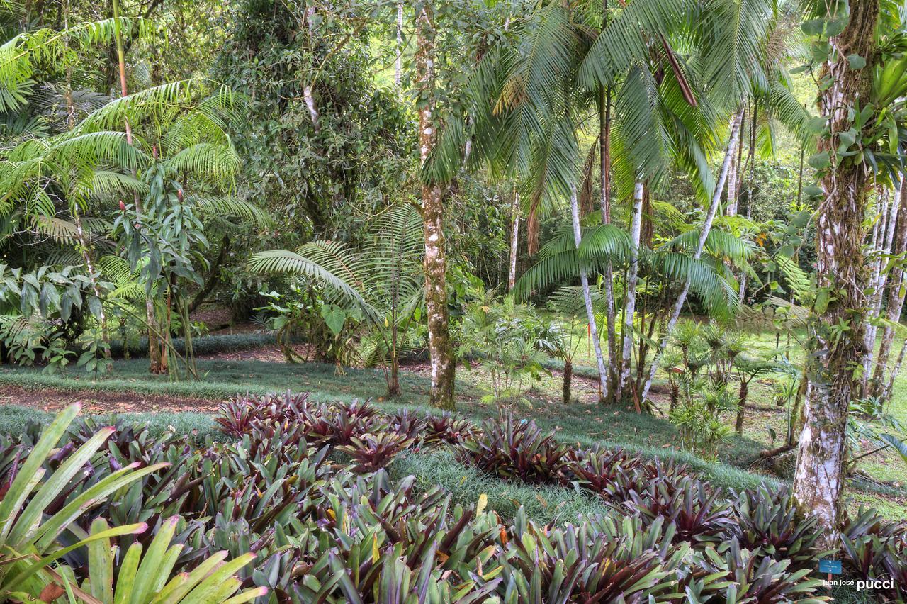 Estacion Biologica Las Cruces Y Jardin Botanico Wilson Σαν Βίτο Εξωτερικό φωτογραφία