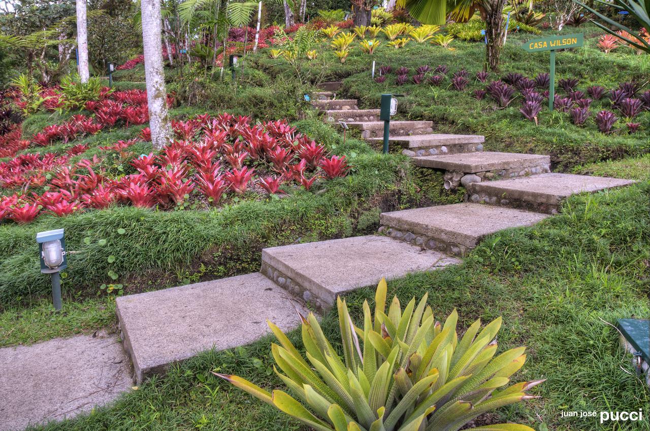 Estacion Biologica Las Cruces Y Jardin Botanico Wilson Σαν Βίτο Εξωτερικό φωτογραφία
