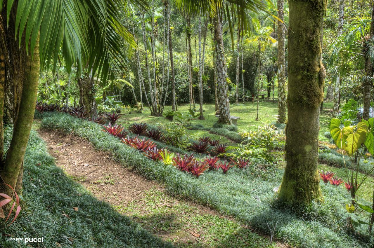 Estacion Biologica Las Cruces Y Jardin Botanico Wilson Σαν Βίτο Εξωτερικό φωτογραφία