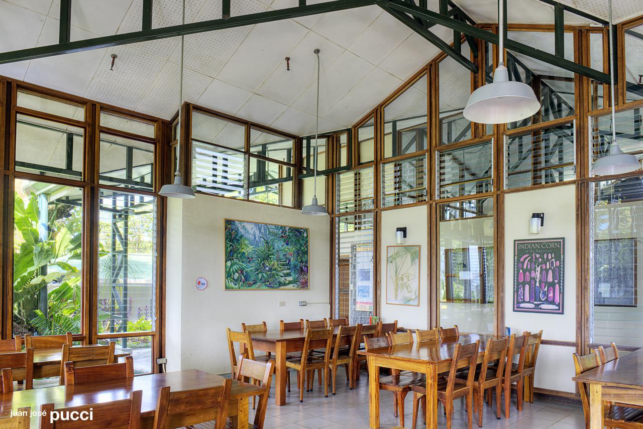 Estacion Biologica Las Cruces Y Jardin Botanico Wilson Σαν Βίτο Εξωτερικό φωτογραφία