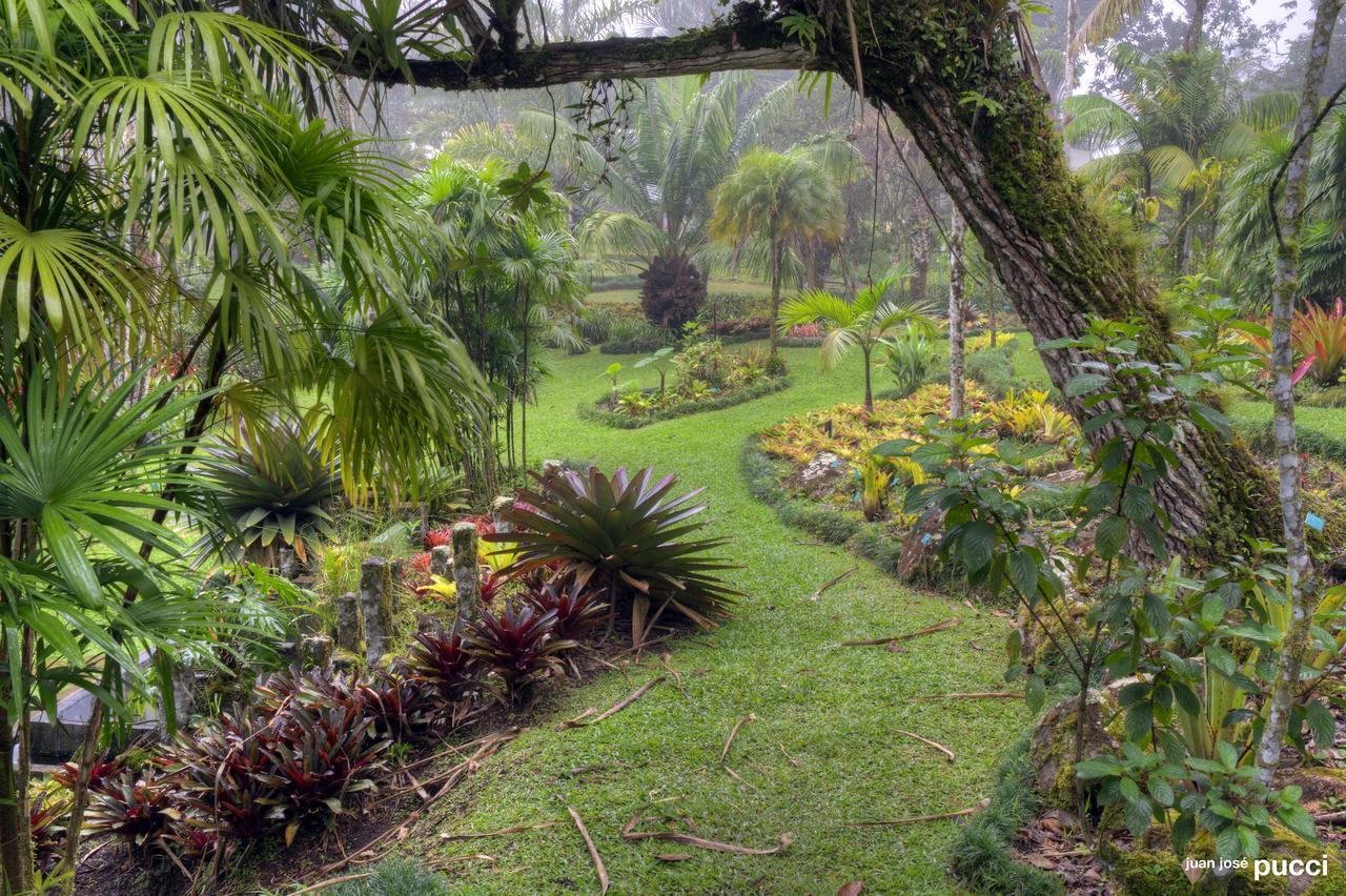 Estacion Biologica Las Cruces Y Jardin Botanico Wilson Σαν Βίτο Εξωτερικό φωτογραφία