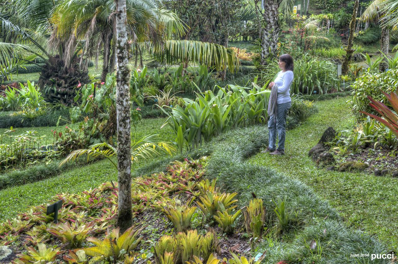 Estacion Biologica Las Cruces Y Jardin Botanico Wilson Σαν Βίτο Εξωτερικό φωτογραφία