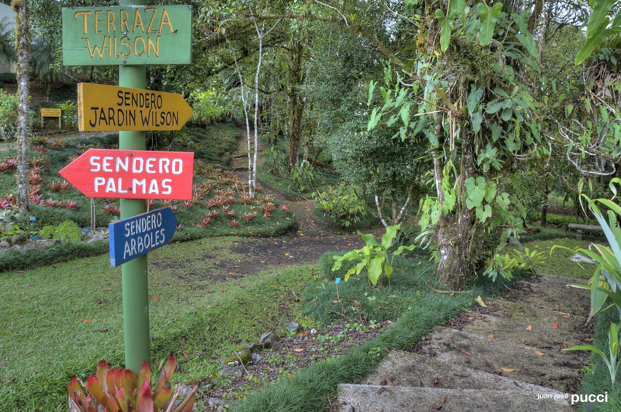 Estacion Biologica Las Cruces Y Jardin Botanico Wilson Σαν Βίτο Εξωτερικό φωτογραφία