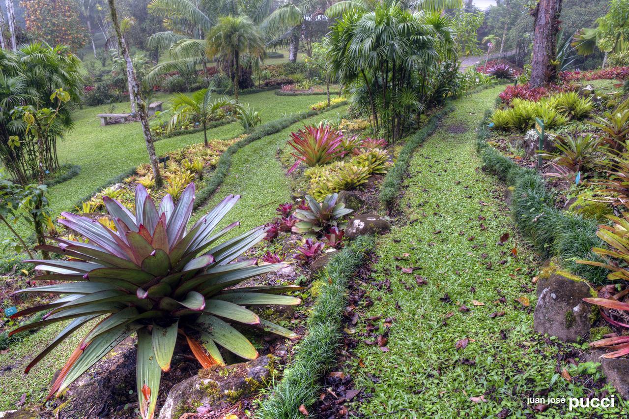 Estacion Biologica Las Cruces Y Jardin Botanico Wilson Σαν Βίτο Εξωτερικό φωτογραφία